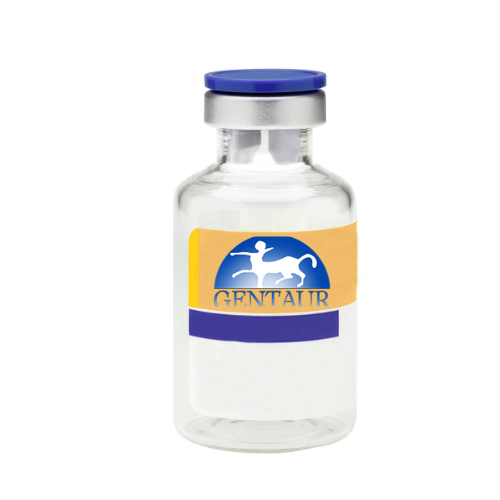 [GEN - PL01-050] Recombinant Human Galectin 1, His Tag